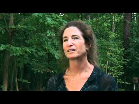 'Tara Talks' Series: What is It? - Tara Brach