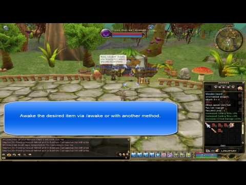 Nemesis Flyff Guide - Awake Transfer