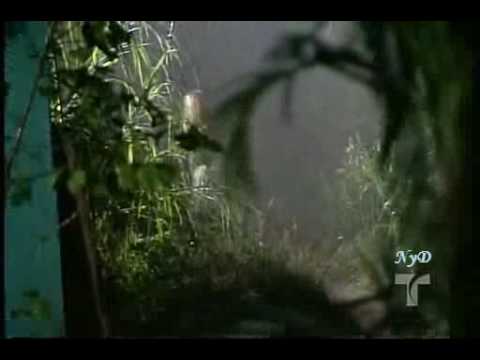 Dame chocolate capitulo 150 Final b