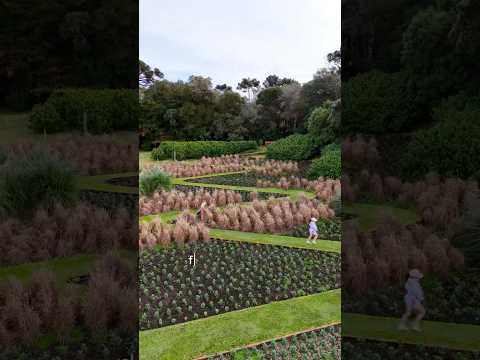 Você sabia que o maior parque de flores das Américas fica localizado no Rio Grande do Sul? 🌺🌼
