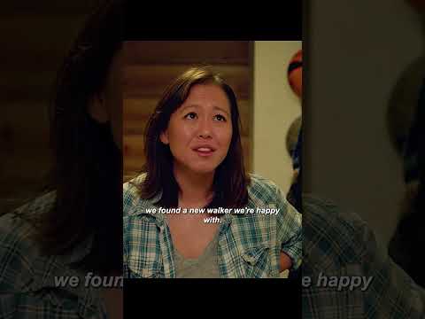 The ultimate dog walker showdown #shorts