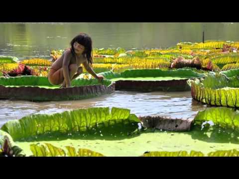 GUINGA & CHICO BUARQUE - Lendas Brasileiras