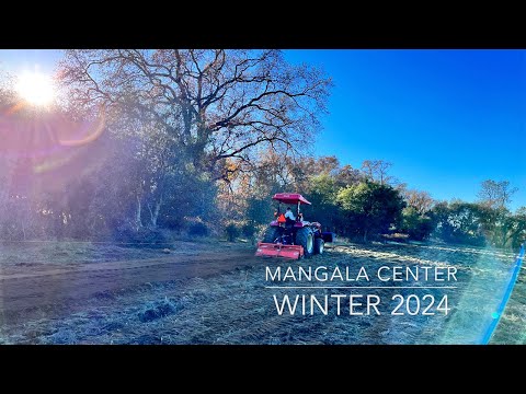 Winter 2024