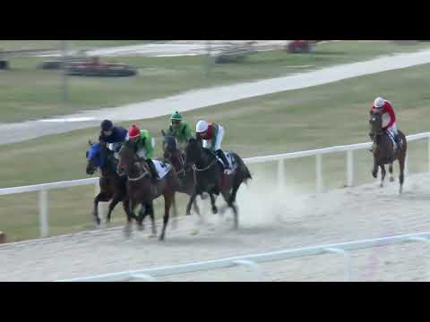 2022.04.03. 04. futam - DŐRY JÓZSEF EMLÉKVERSENY (V.kat.) (szintetikus pálya)