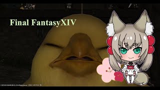 【FF14】PvP練習となんかいろいろ【白梅】