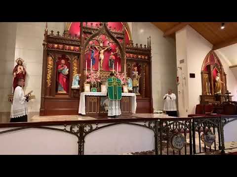 Offertorium - Dominica XII Post Pentecosten IV. Augusti (Ex 32:11, 13-14)