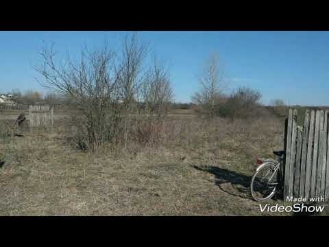 VÂNĂTORII MICI iarna