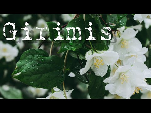 EMKA 9 - Girimis (lirik lagu)