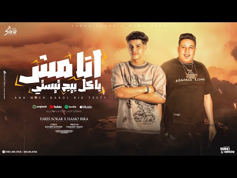 كلمات اغنية انا مش باكل بيج تستي