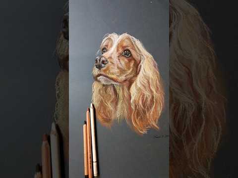  Proces   my pastels