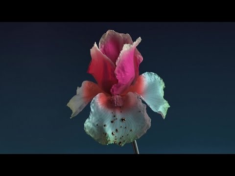 Video thumbnail for Numb & Getting Colder (Baauer Remix)