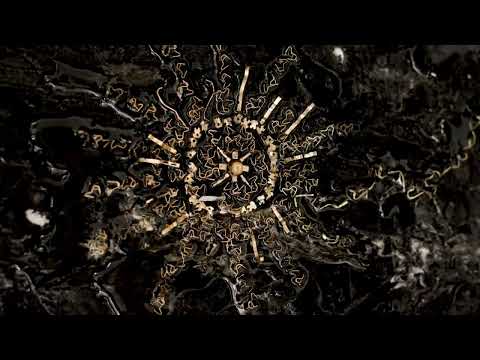 NIGHT OF GOLD by GOLD POWER VÉLEZ