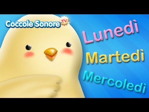 I parassiti in sangue della persona per fare la prova I conigli come trattare vermi