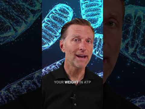 Need more energy? ⚡ It's all about your body's powerhouses—mitochondria #drberg #healthtips #keto
