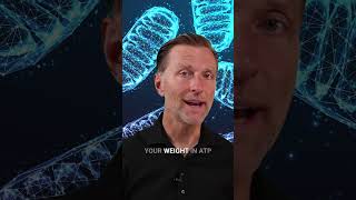 Download lagu Need more energy? ⚡ It's all about your body's powerhouses—mitochondria #drberg #healthtips #keto mp3 Download lagu Need more energy? ⚡ It's all about your body's powerhouses—mitochondria #drberg #healthtips #keto mp3