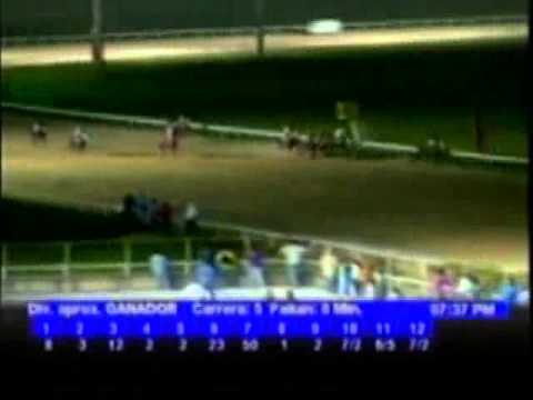 Resumen Jueves,15 de Diciembre de 2011 - Valencia