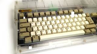 Crystal Amiga 1200 for Sale with 68030 & 128mb Ram