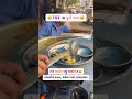 Best Puri Sak In Ahmedabad Shorts Food