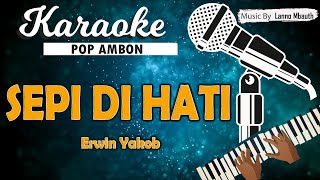 Download lagu Karaoke SEPI DI HATI Erwin Yakob mp3