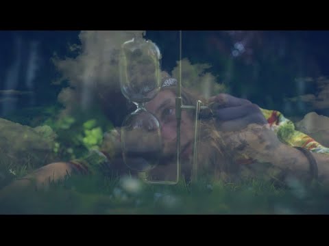 Sensi Trails - Purpose ft. Nick Sefakis (Official Music Video)