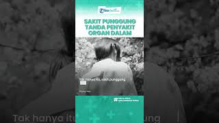 Waspadai Sakit Punggung Tanda Adanya Gangguan Organ Dalam, Termasuk Infeksi hingga Peradangan