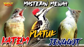 Download lagu MASTERAN MURAI BATU | KOMBINASI JENGGOT - PLATUK BAWANG - KAPAS TEMBAK mp3 Download lagu MASTERAN MURAI BATU | KOMBINASI JENGGOT - PLATUK BAWANG - KAPAS TEMBAK mp3