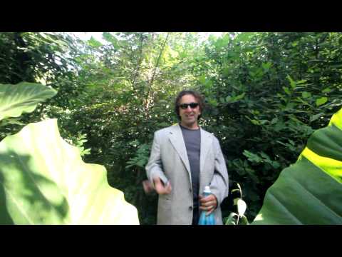 La Whillington - Trabajando (VIDEOCLIP OFICIAL) [HD]