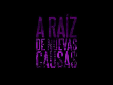 A Raíz De Nuevas Causas - Estamos De Pie