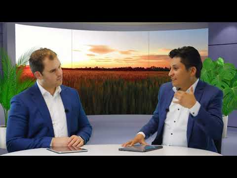 Wekelijkse Bijbelstudie 1 oktober 2022 - De decennialange reis van de ark: van Gilgal tot Jeruzalem