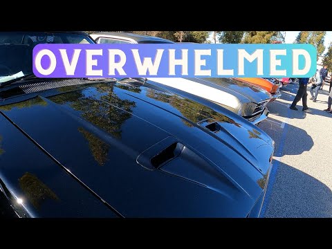 Cars N Culture Takes Perth by Storm: A Must-Watch Event #cars #musclecars #jdm