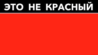 Смотреть онлайн Пройти тест на проверку цветов