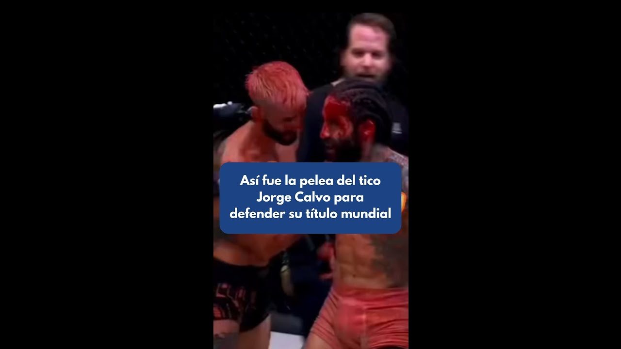 así fue la pelea del