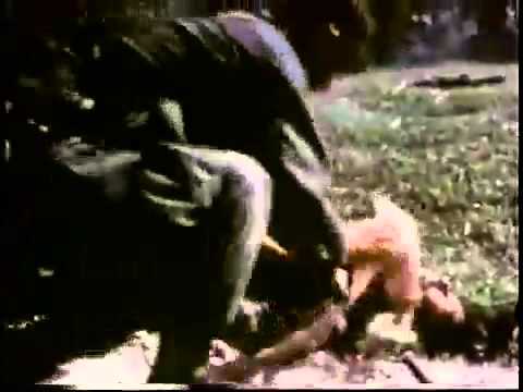 Secrets of war cold war Brezhnev's kremlin