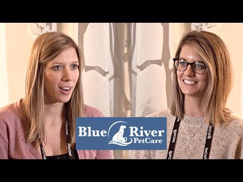 Prior to using FloQast, the accounting team at Blue River PetCare were still tracking their close on Excel spreadsheets