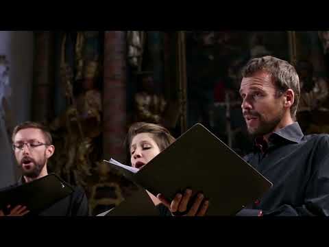 Josquin des Prez | Douleur me bat | Les Polysolistes