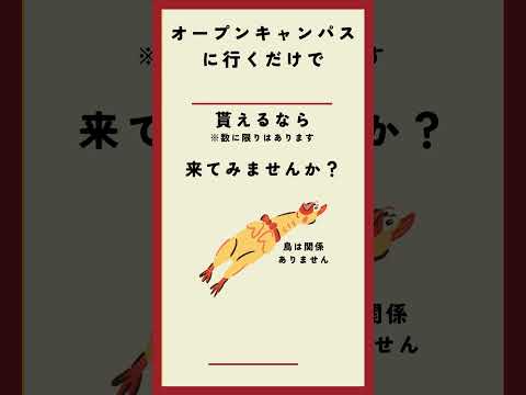 Instagramにこんな広告が流れてます！#ショート