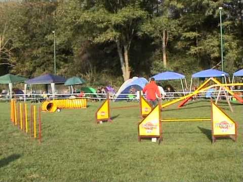 AGILITY 10/ 2007 Lif & Esther 1. Platz in der A2 und Aufstieg in die A3