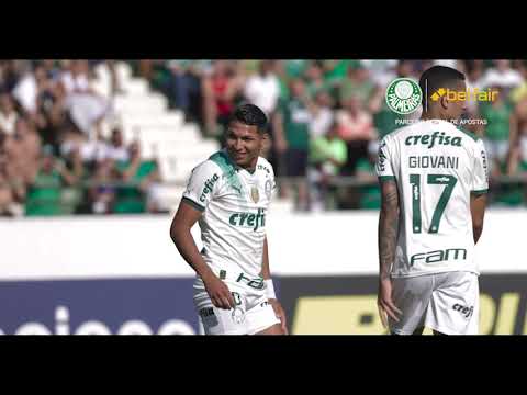 Guarani 0 x 0 Palmeiras | Melhores Momentos