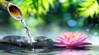 (No Copyright) Relaxing Flute Music- Relaxing Meditation Music- Relaxing Sleep Music-Music for Study