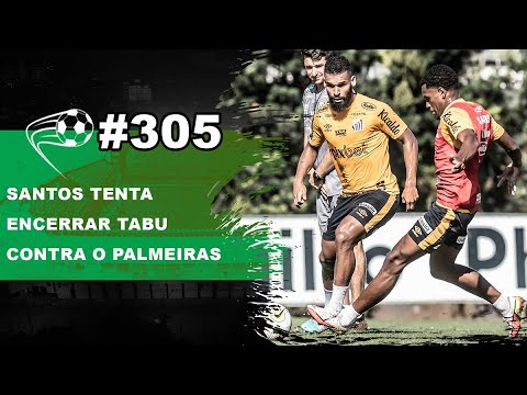 SANTOS E PALMEIRAS SE ENFRENTAM NA VILA PELO CAMPEONATO BRASILEIRO