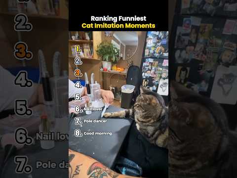 Ranking Funniest Cat Imitation Moments #shorts