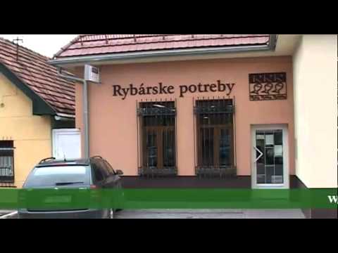 Ryby, rybky, rybičky 8 - 2012
