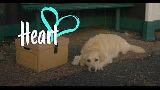 Heart | RSPCA Christmas Advert | 2022