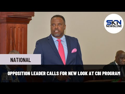 OPPOSITION LEADER CALLS FOR NEW LOOK AT CBI PROGRAM