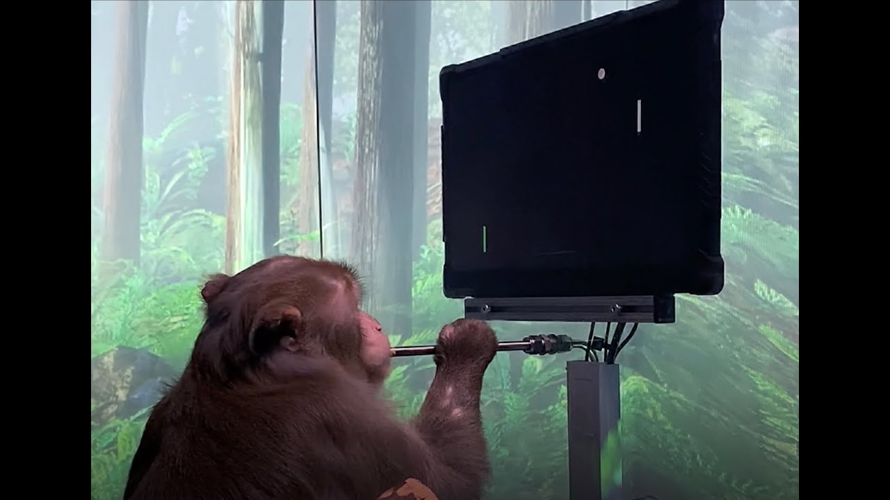 Monkey MindPong - YouTube