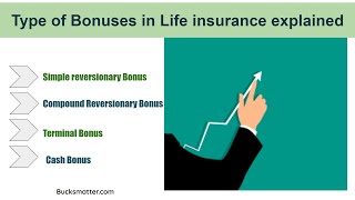 Download lagu Types of Bonus in Life insurance explained mp3 Download lagu Types of Bonus in Life insurance explained mp3