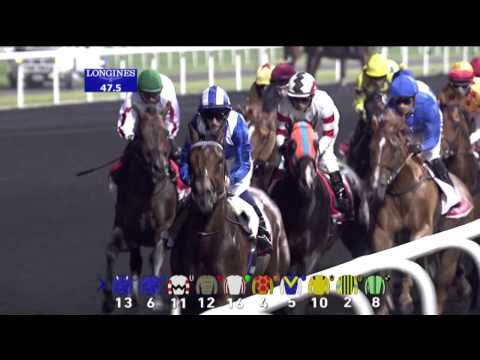 29.03.2014 Meydan (Dubai-UAE) 9.Race Dubai World Cup 2014 - Group I 2.000 m