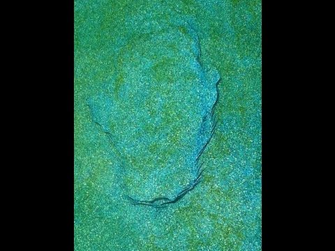 Bumps On The Walls Of Vinyl Liner Pool