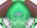 Klaskyklaskyklaskyklasky Gummy Bear In G Major 28 V3