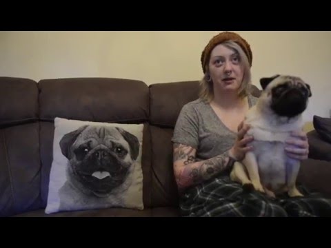 Apologie for viral video of training girlfriends dog to Nazi salute